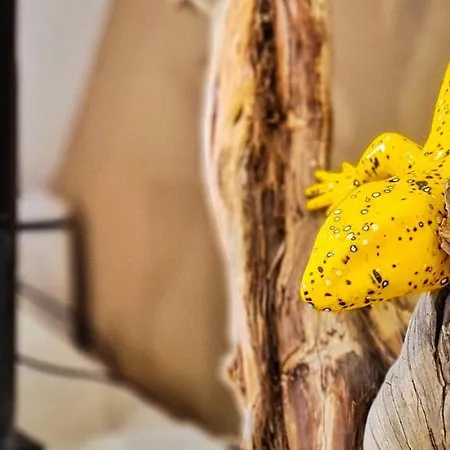 Charming 7 By Homeful Homes Apartman Lisboa