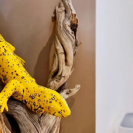 Charming 7 By Homeful Homes Lisboa