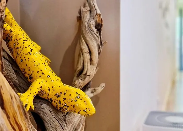 Charming 7 By Homeful Homes Lisboa