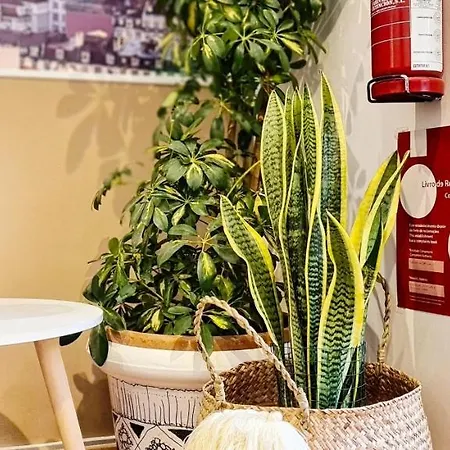 Charming 7 By Homeful Homes *